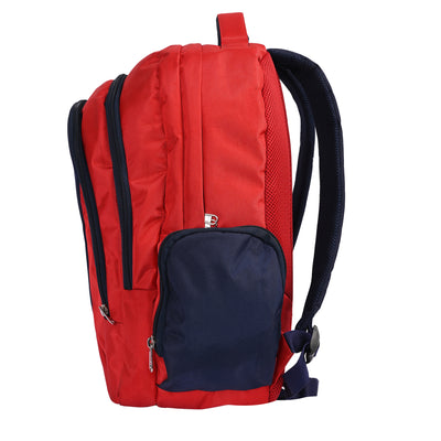 ELECTRIC BAGPACK view 3