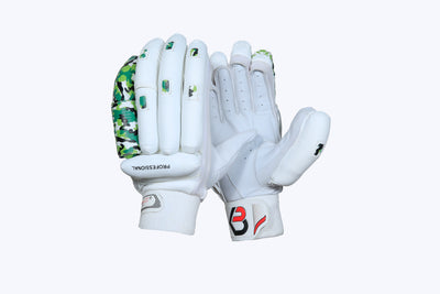 PROFESSIONAL EDITION view 2